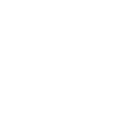 vision
